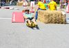 20110522_010054_DxO.jpg